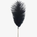Pic Plume Autruche Long Noir+10pic