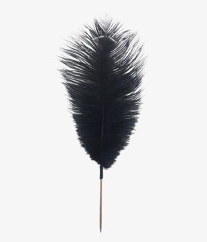 Pic Plume Autruche Long Noir+10pic