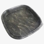 Barquette sushi en plastique avec couvercle 295x295x45mm