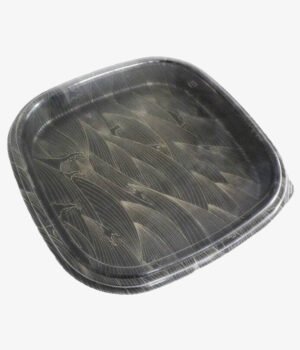 Barquette sushi en plastique avec couvercle 295x295x45mm