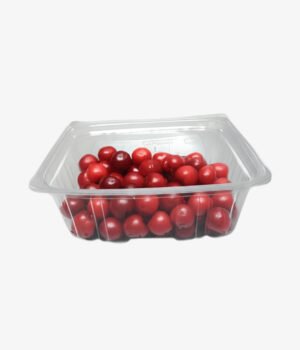 Barquette transparente rectangulaire en plastique avec couvercle