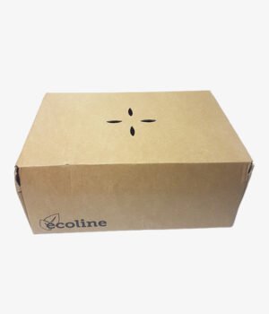 Boite repas deployable kraft 482x70x659mm
